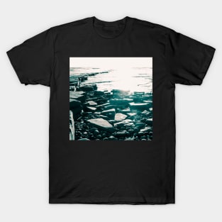 Jurassic Bay T-Shirt